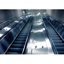 Эскалаторы тяжелого транспорта общественного транспорта Dsk